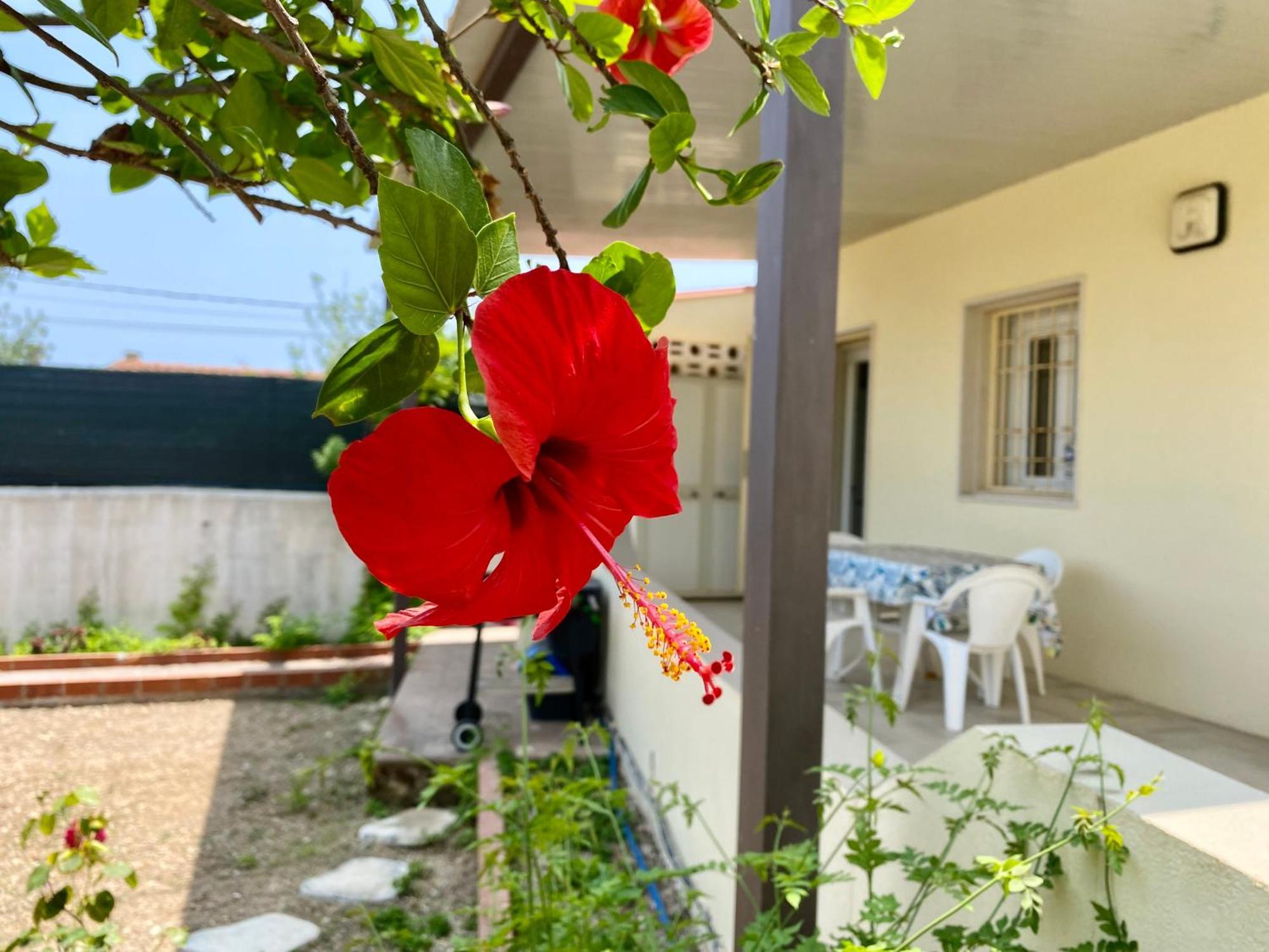 Viviholiday Calabernardo Exterior foto